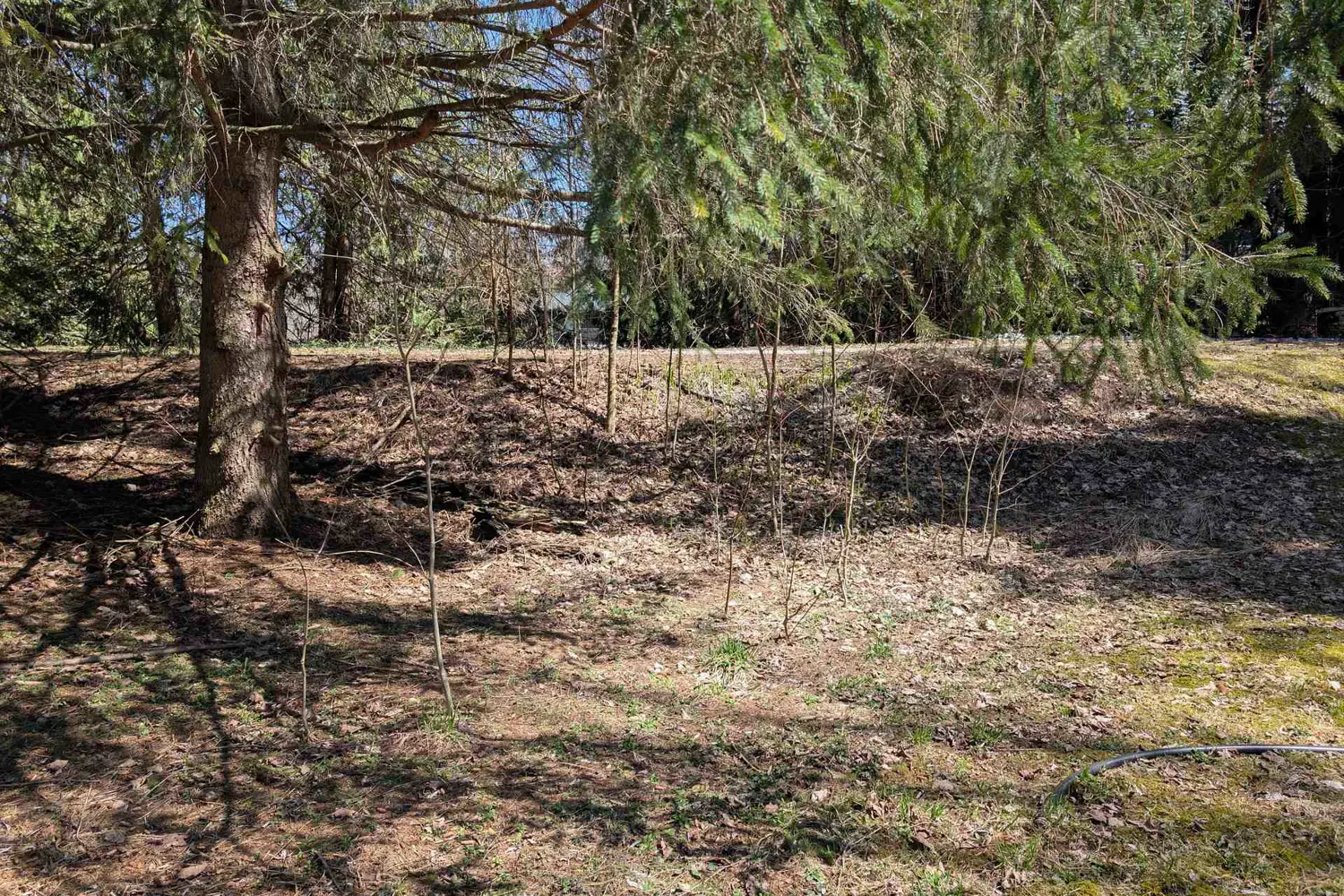 Additional image 13 of 120 Anderson Drive