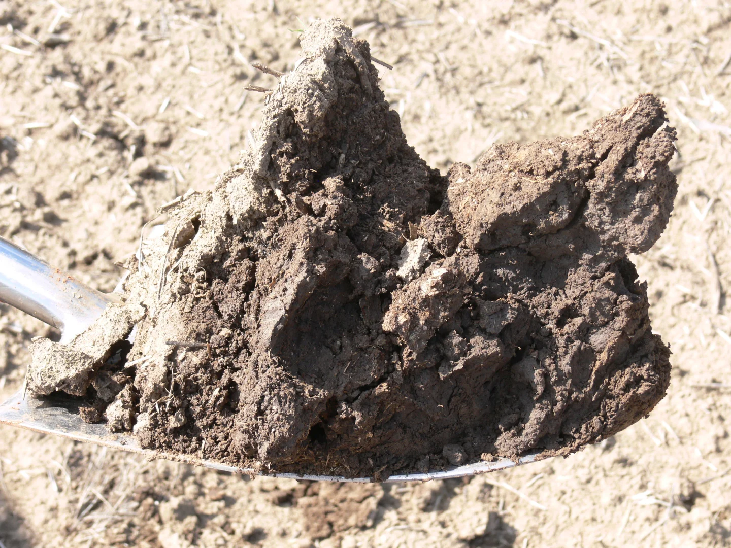 Additional image 20 of 69 Ercildoune Lane South, Forbes NSW 2871