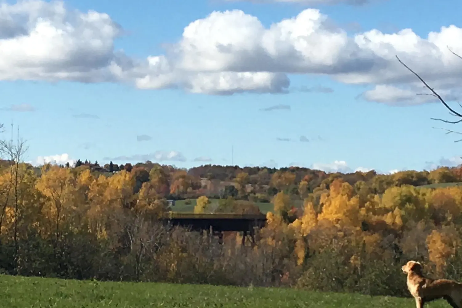 Additional image 12 of 323 Orange Corners Road