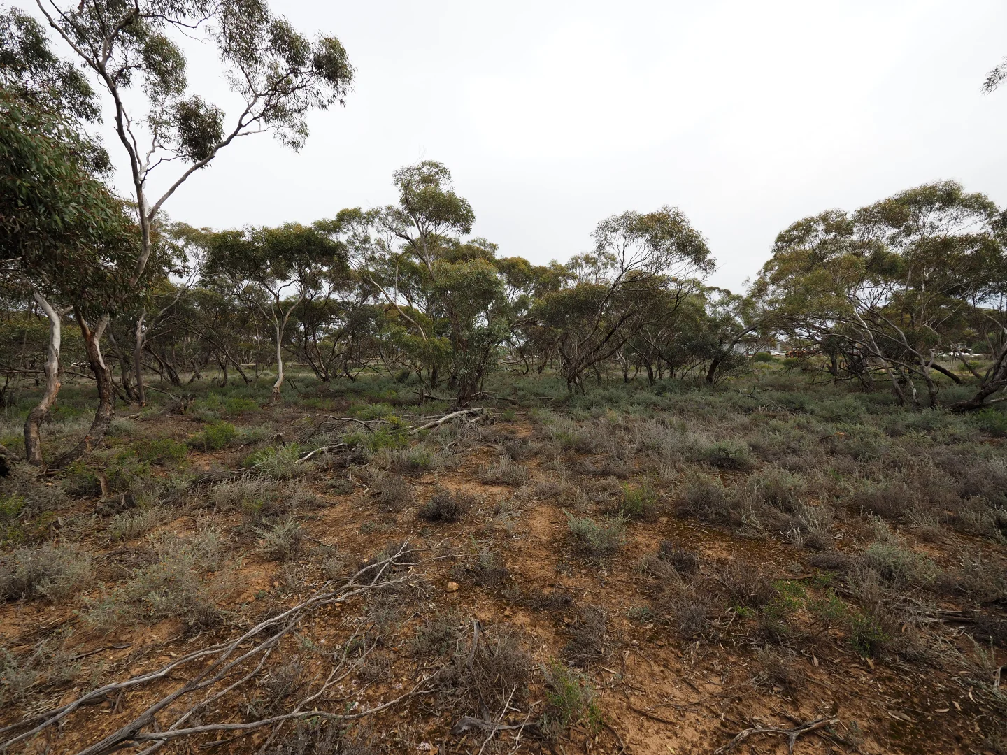 Additional image 5 of Lots 1-6, Towns Street, Chillingollah VIC 3585