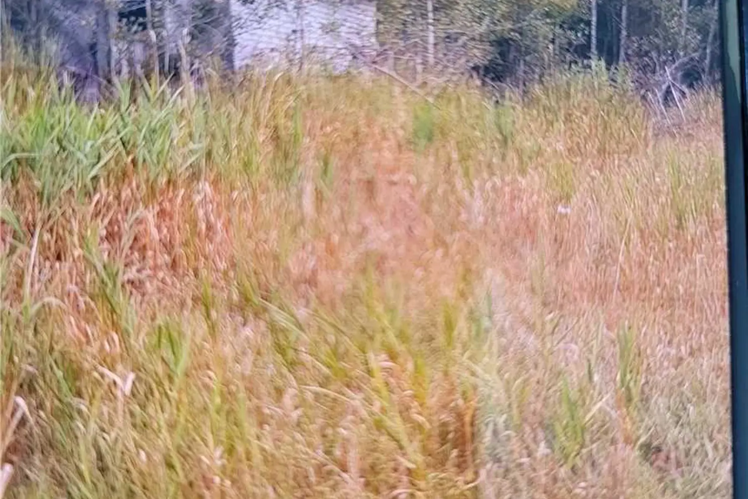 Additional image 2 of 420 Landry Road