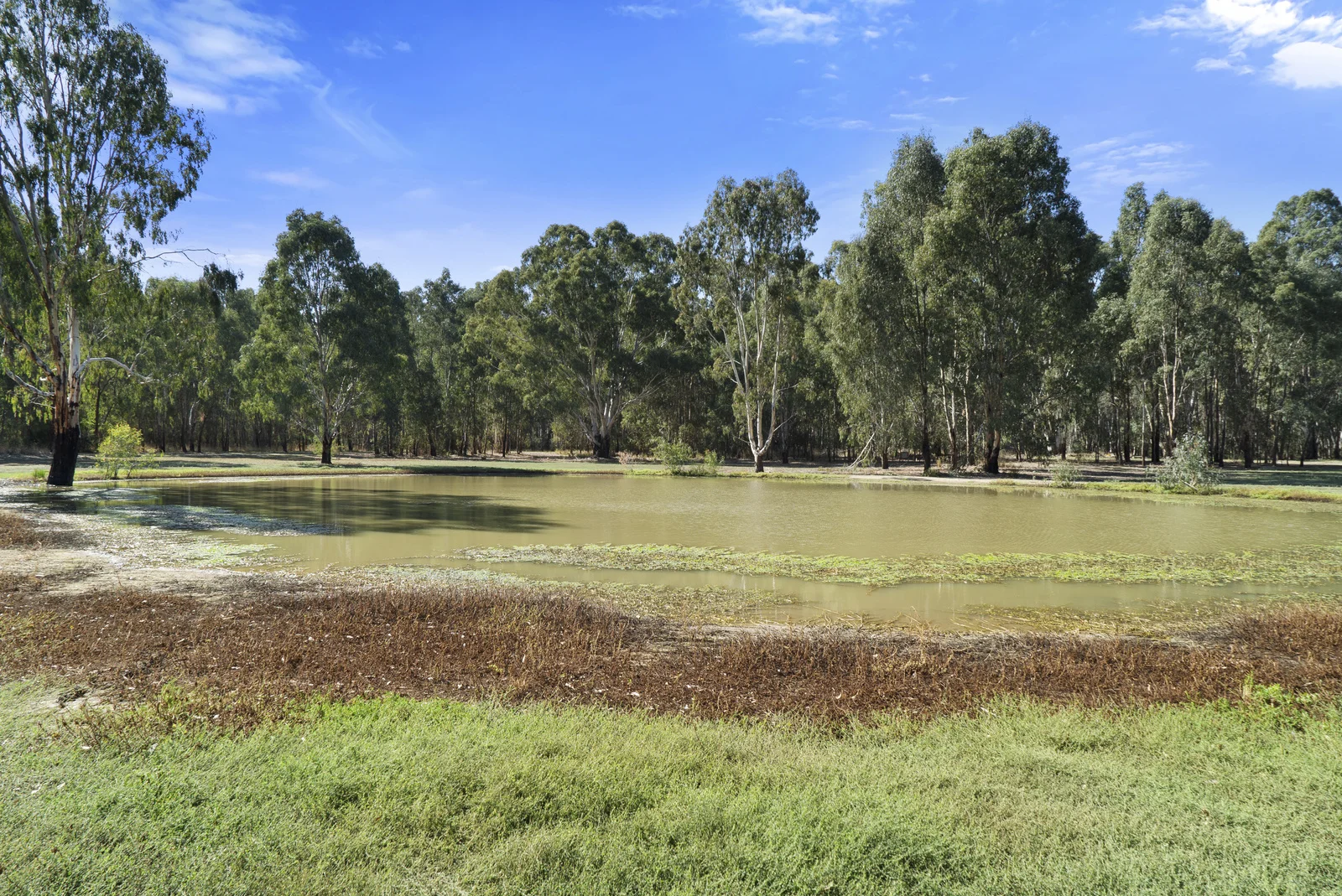 Additional image 5 of 4-20 Moama Street, Mathoura NSW 2710