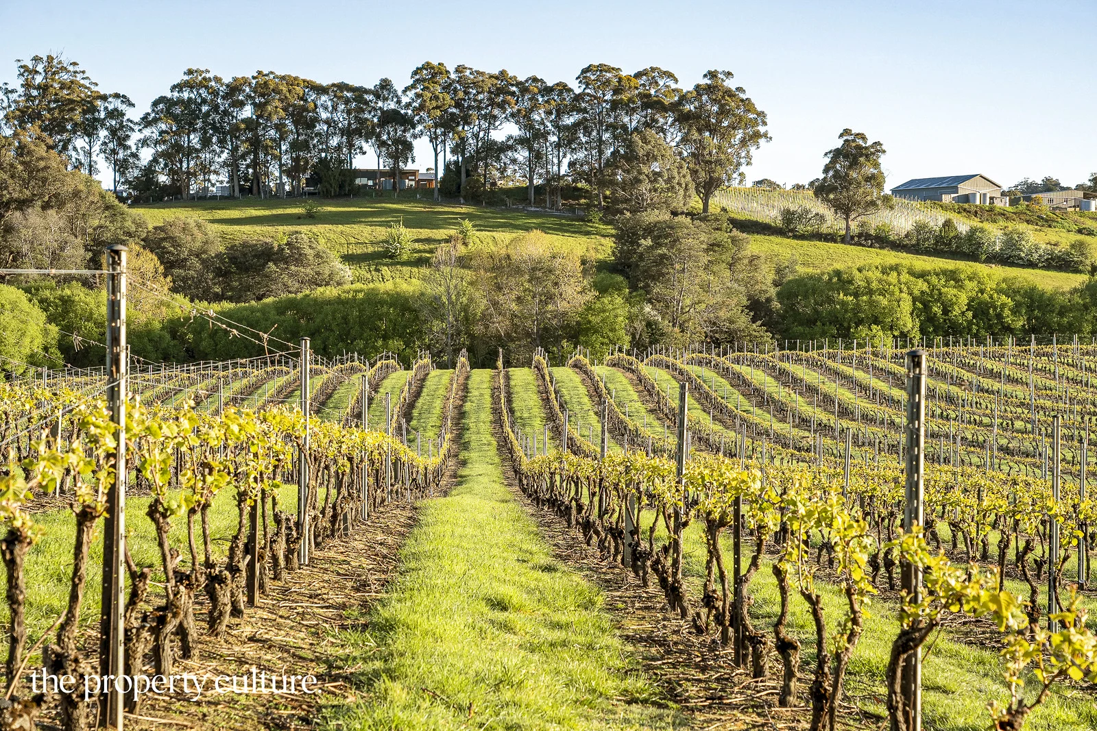 Additional image 32 of 42 Voss Rd, Glaziers Bay TAS 7109