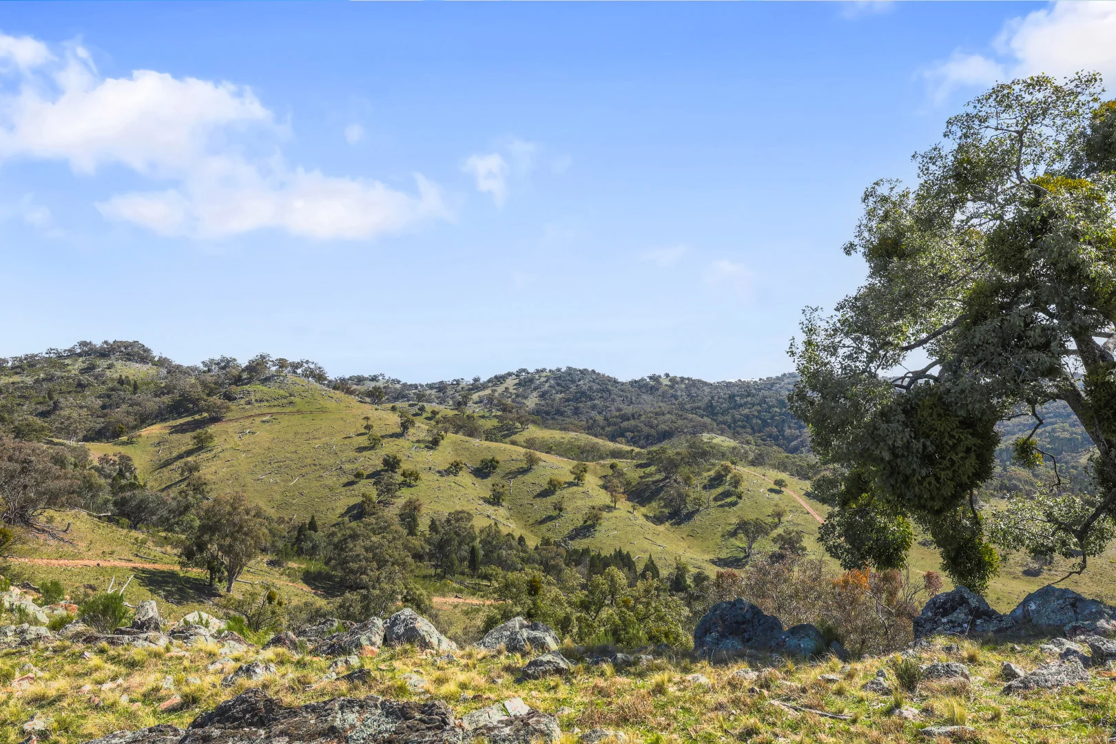 Additional image 5 of Gulgong NSW 2852