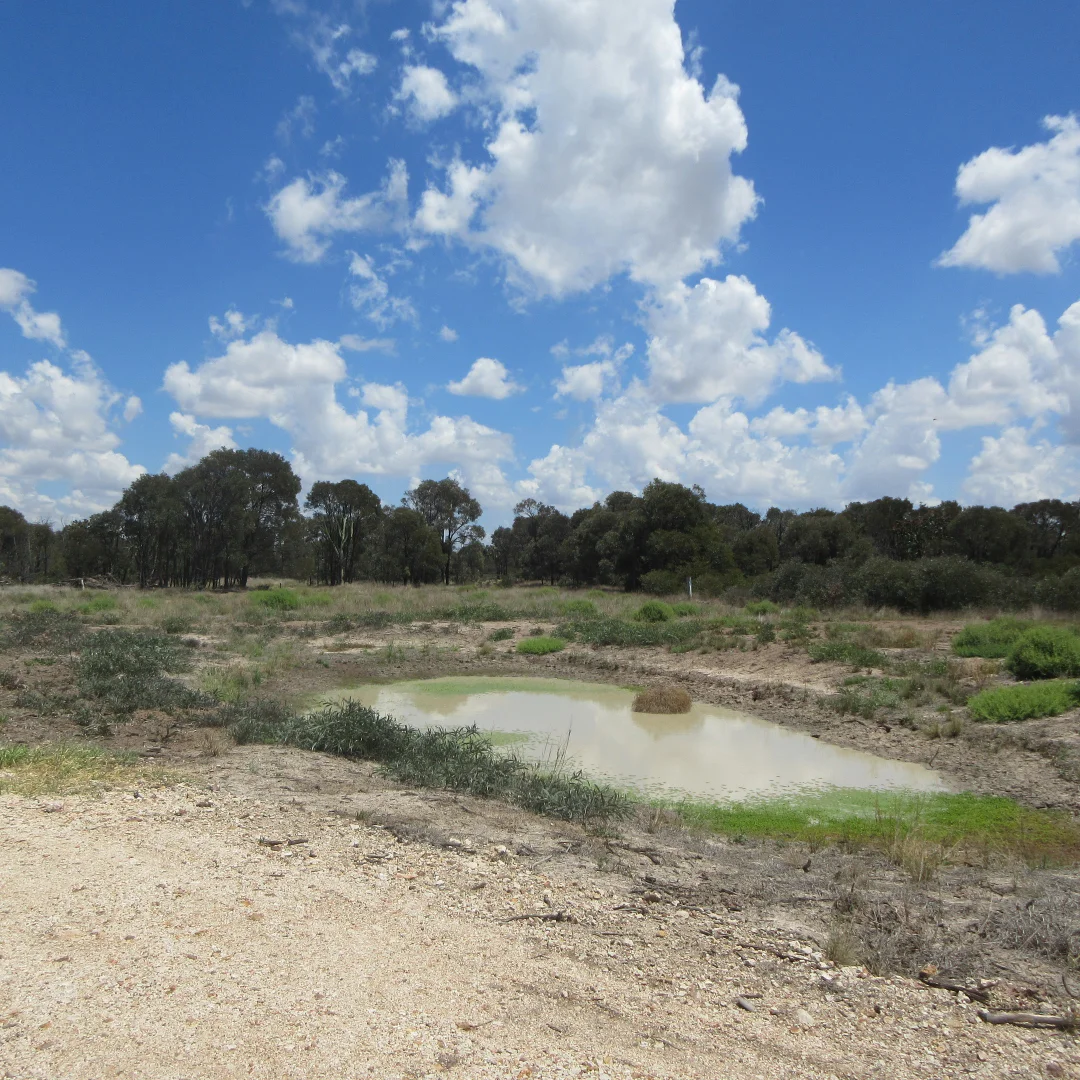 Additional image 2 of Tara QLD 4421