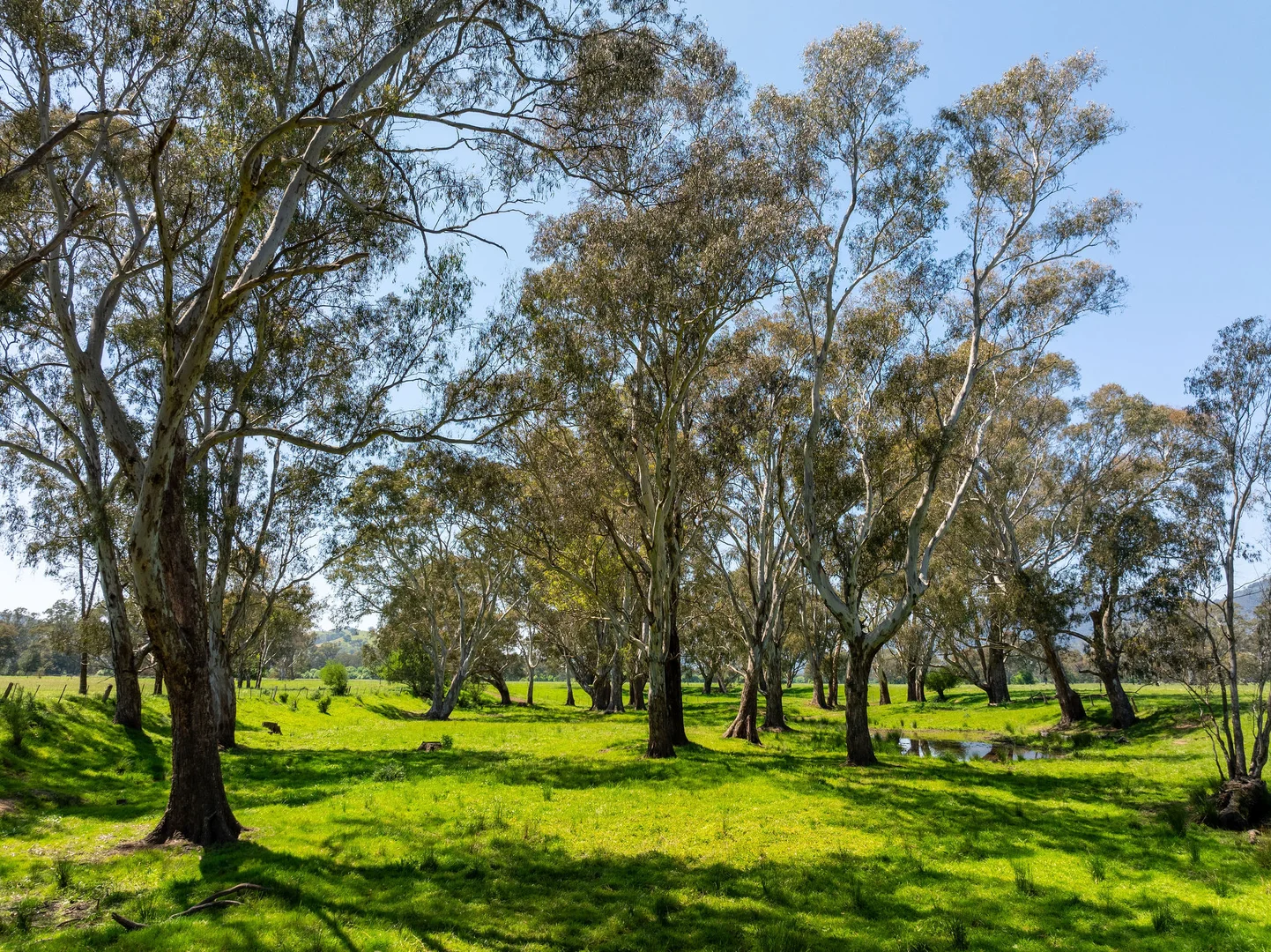 Additional image 22 of 1240 Goulburn Valley Highway, Thornton VIC 3712