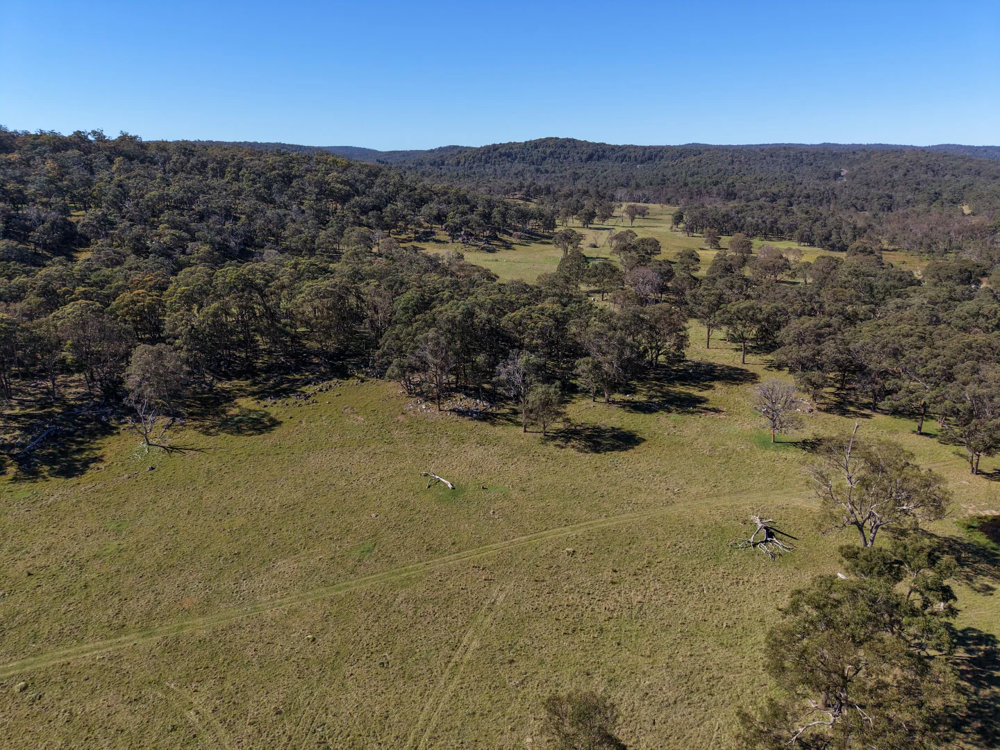 Additional image 34 of 2153 Mount Lindesay Road, Tenterfield NSW 2372