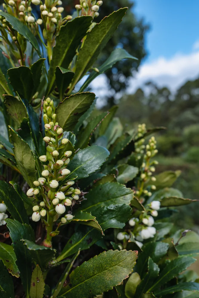 Additional image 21 of 15 Coolangatta Road, Adventure Bay TAS 7150