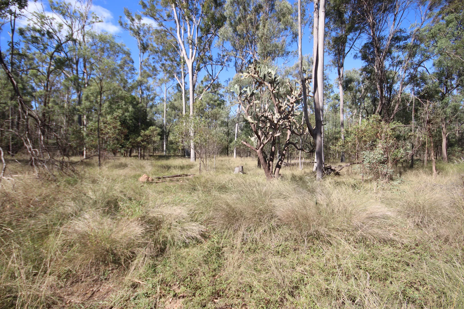 Additional image 9 of Lots 3, 11 & N Monogorilby Road, Monogorilby QLD 4626