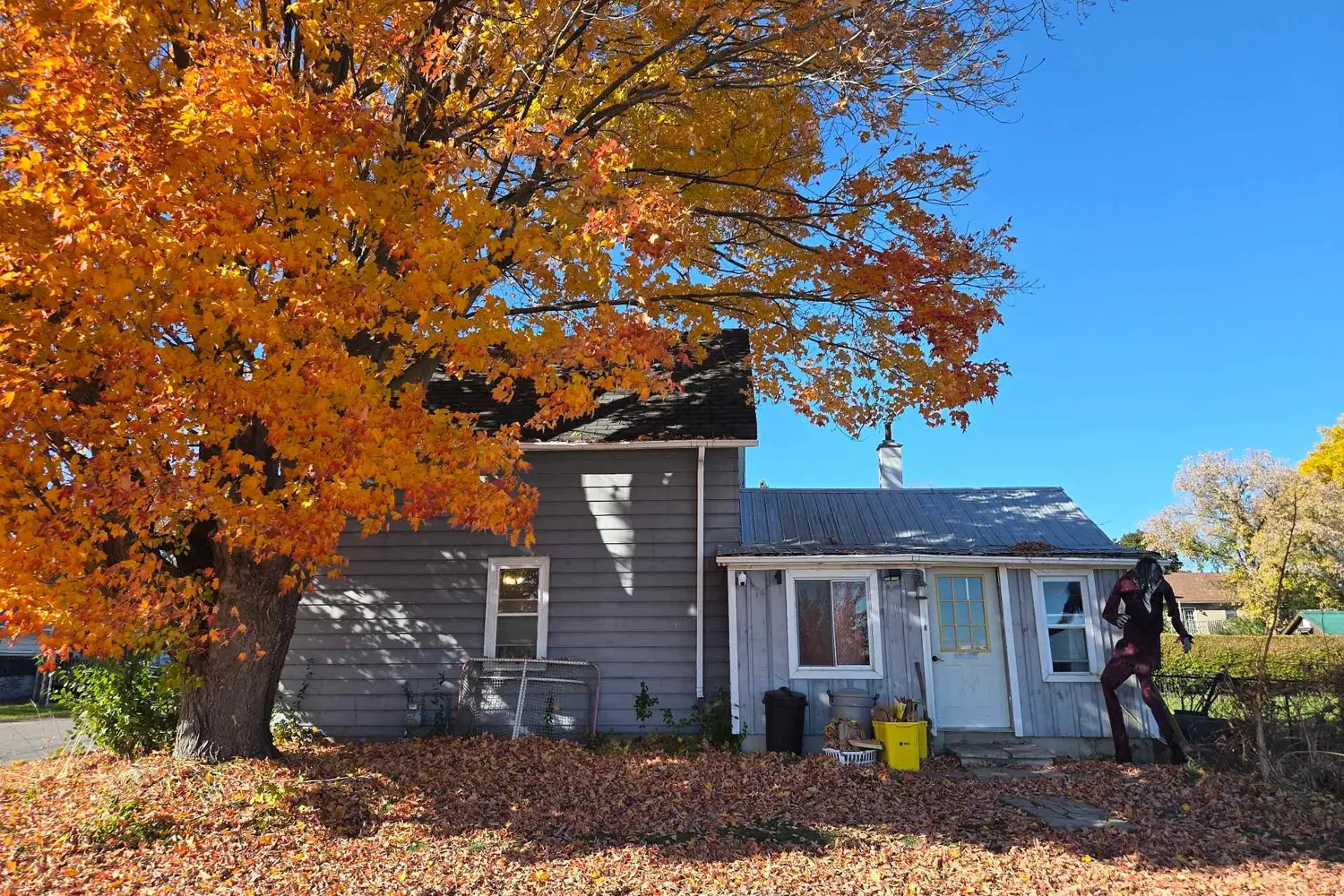 Additional image 2 of 73 Alice Street