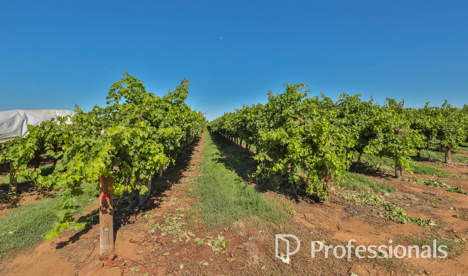 Additional image 3 of Level (Lot 2, PS911361M)/Cnr Twentieth Street & Boobook Avenue, Cardross VIC 3496