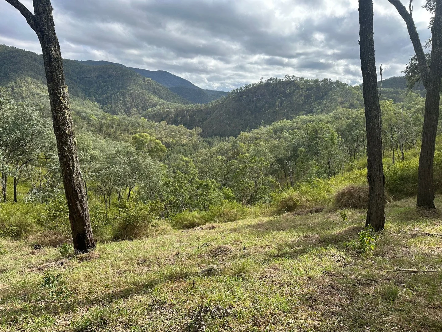 Additional image 5 of Lot 16 Bonner Road, Rivertree NSW 2372