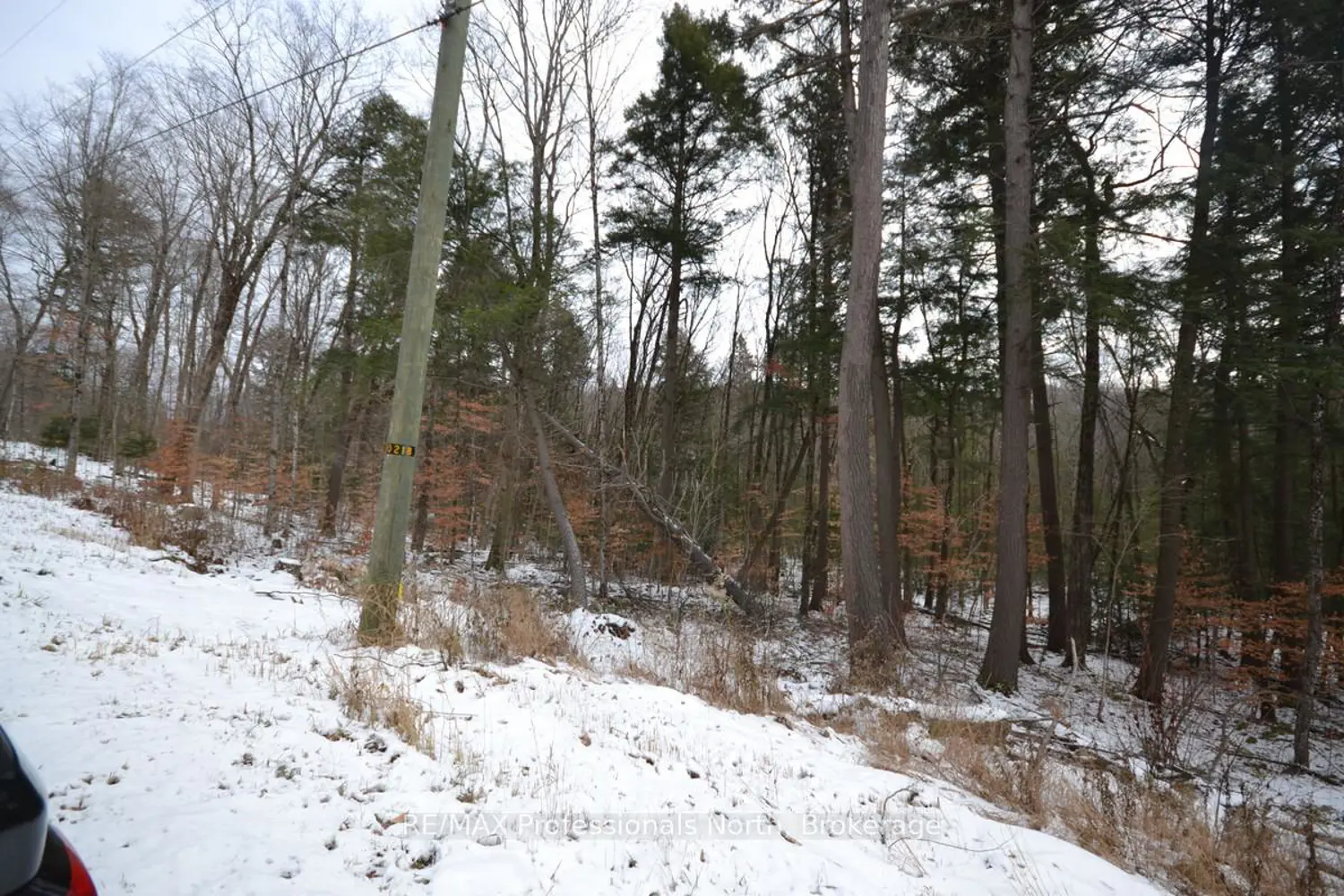 Additional image 2 of 0 Liswood Road