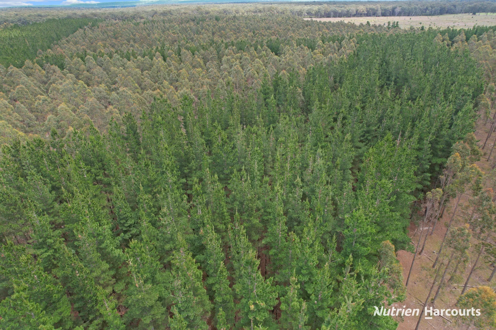 Additional image 7 of CA 30 South Gippsland Highway, Woodside VIC 3874