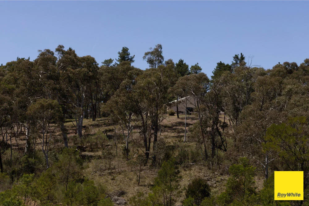 Additional image 15 of 270 Pine Bank Drive, Lower Boro NSW 2580