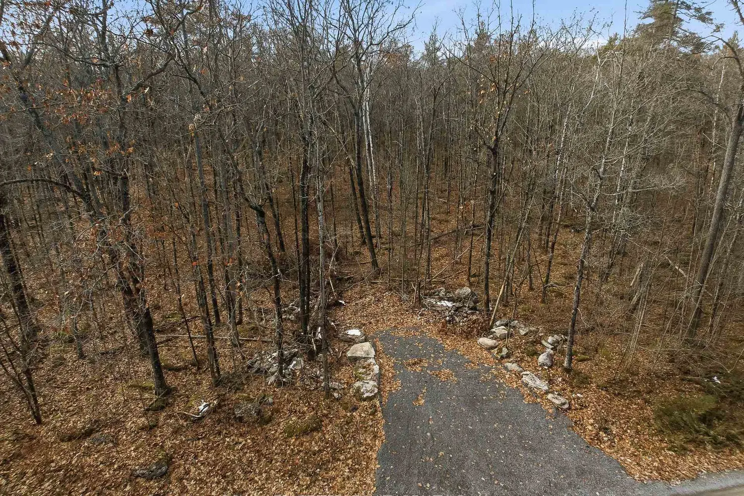64 Maple Road