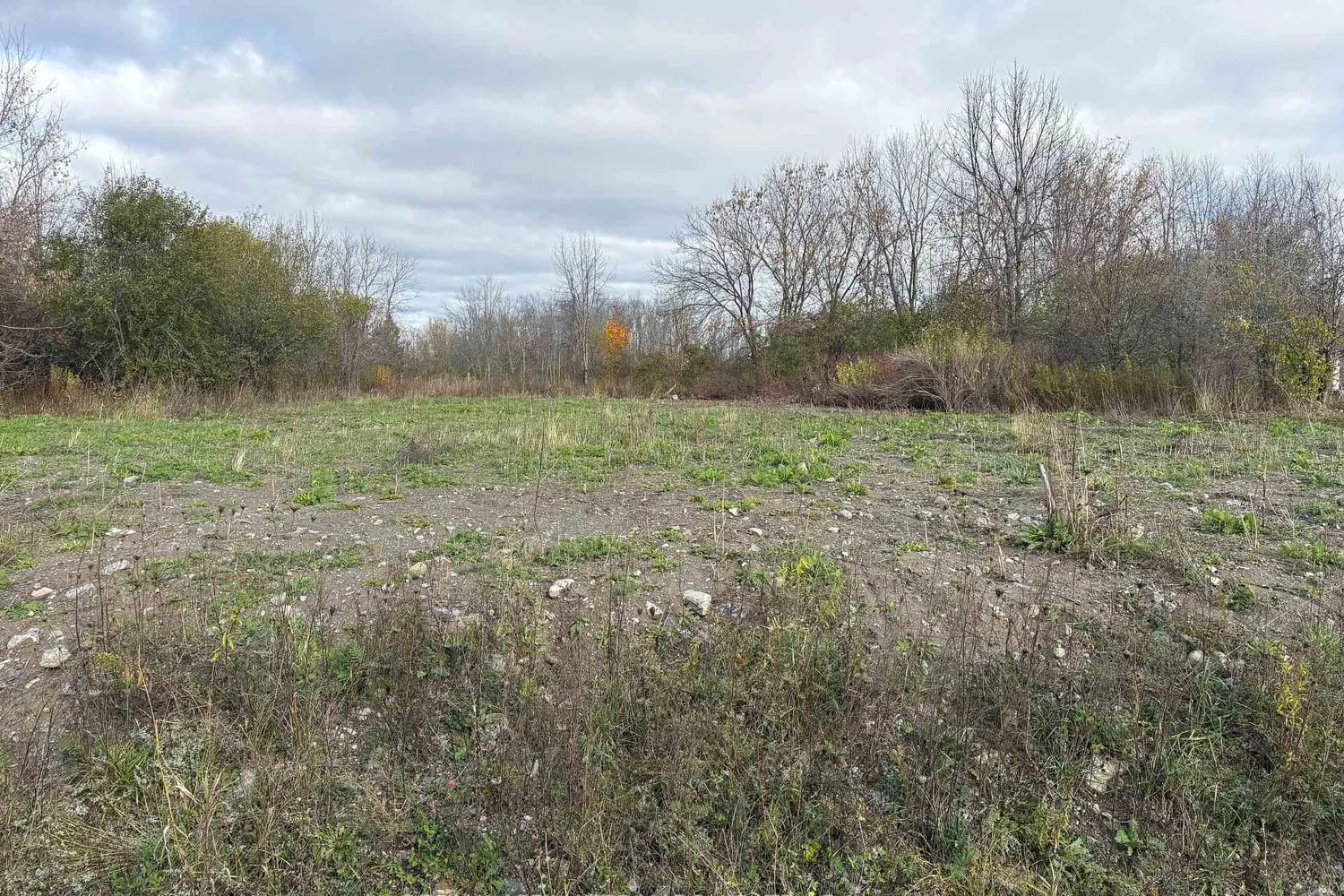 Additional image 5 of 5361 Woodland Drive