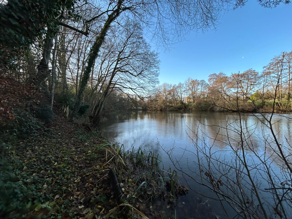 Additional image 2 of Land to rentHartlebury, Kidderminster DY11