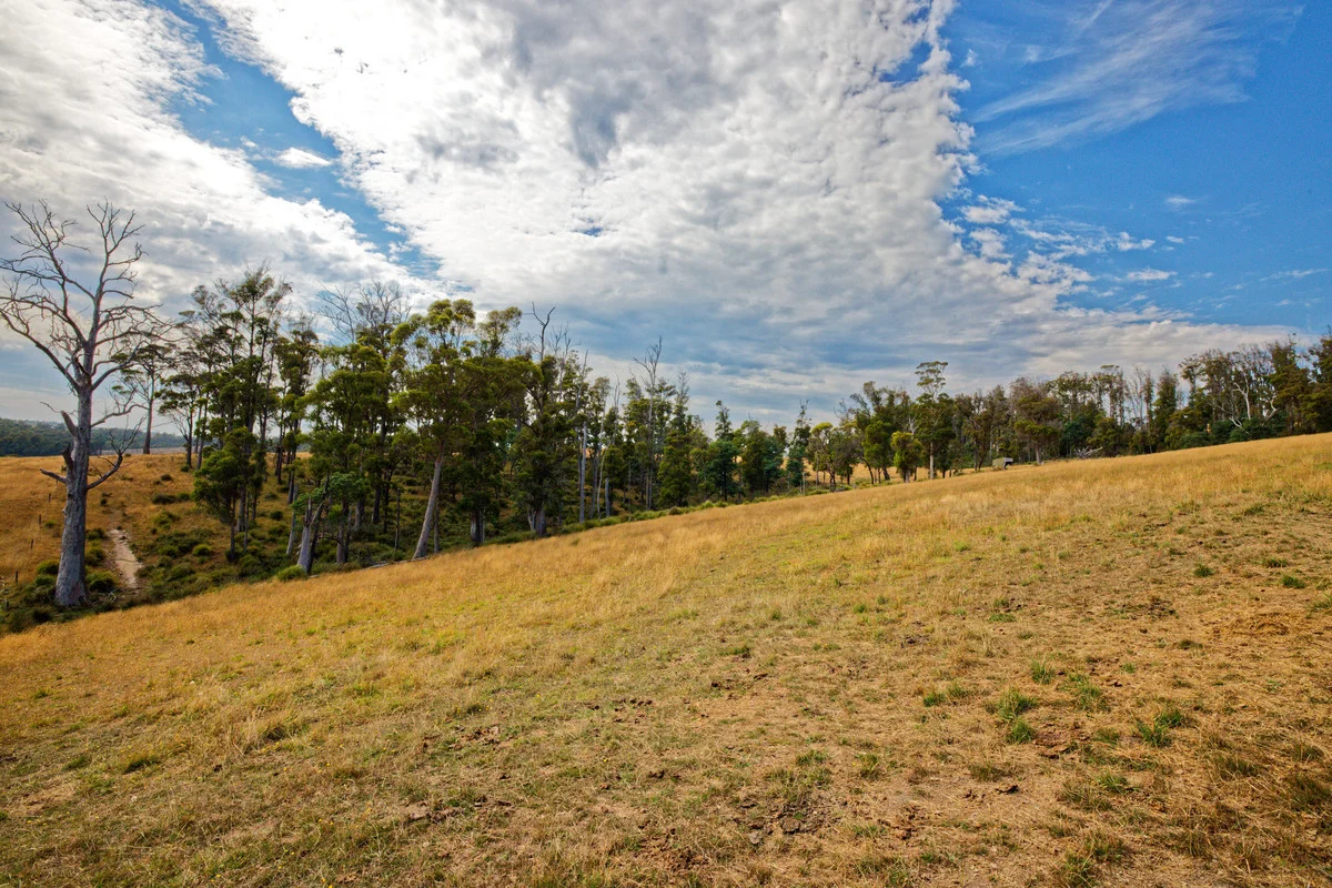 Additional image 8 of 110a Paling Track, Bangor TAS 7267