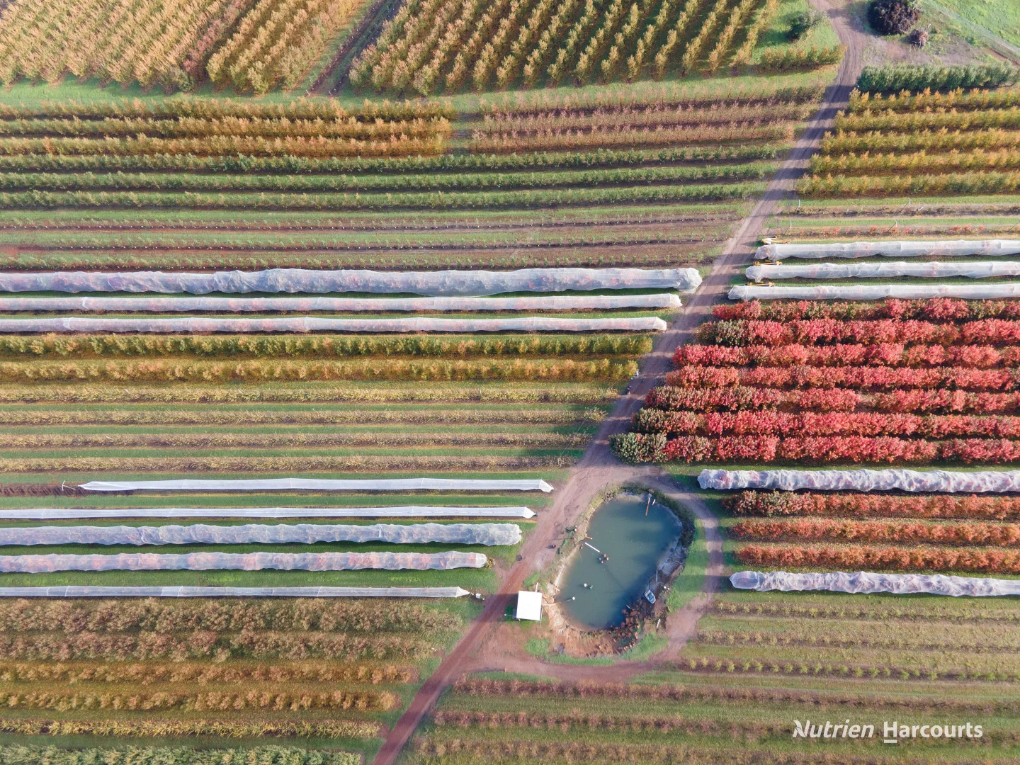 Additional image 28 of 176 Chevin Road, Roleystone WA 6111