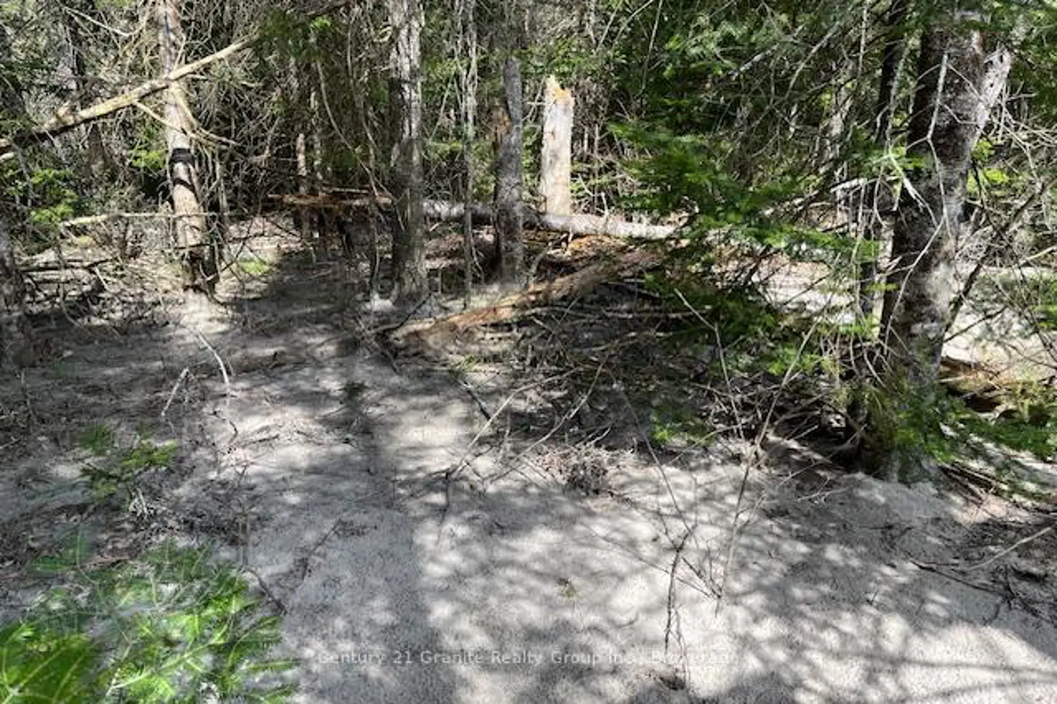 Additional image 5 of 0 County Road 503