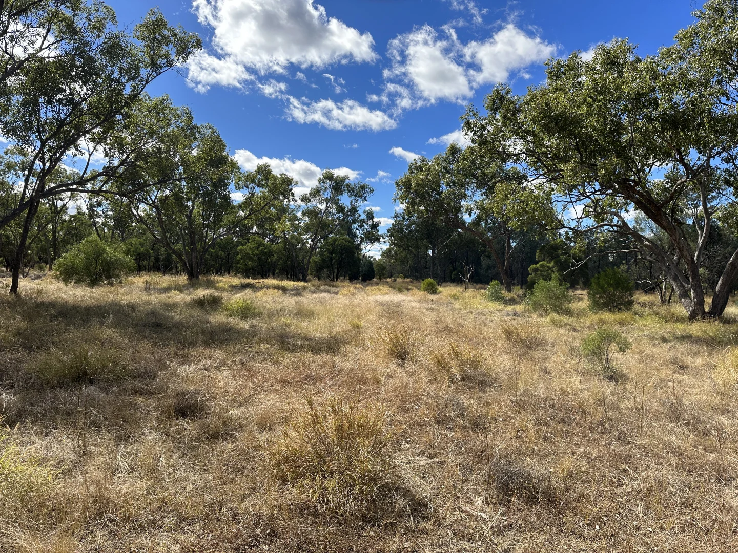 Additional image 2 of 0 Zieman Street, Bakers Bend QLD 4470
