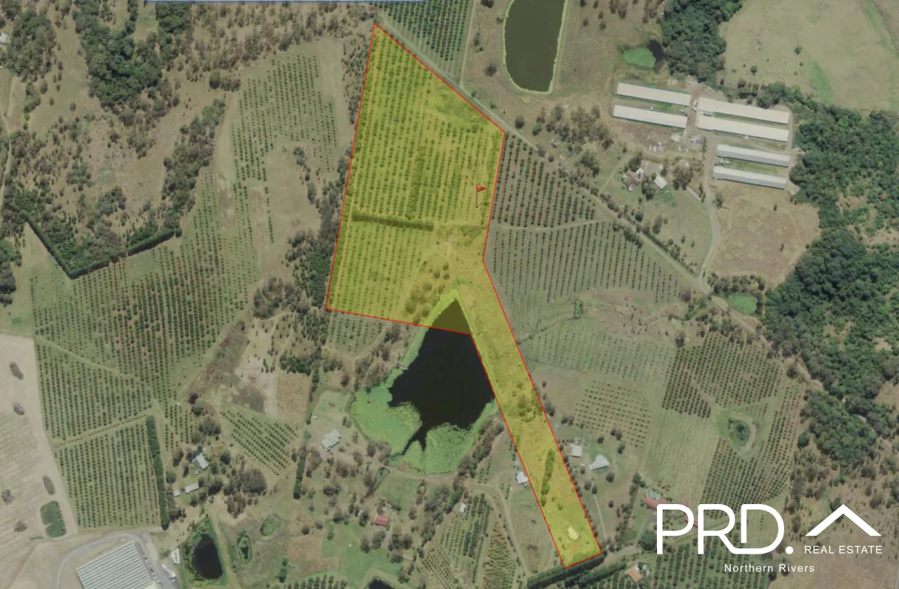 Additional image 18 of 45 Rudgely Road, Caniaba NSW 2480