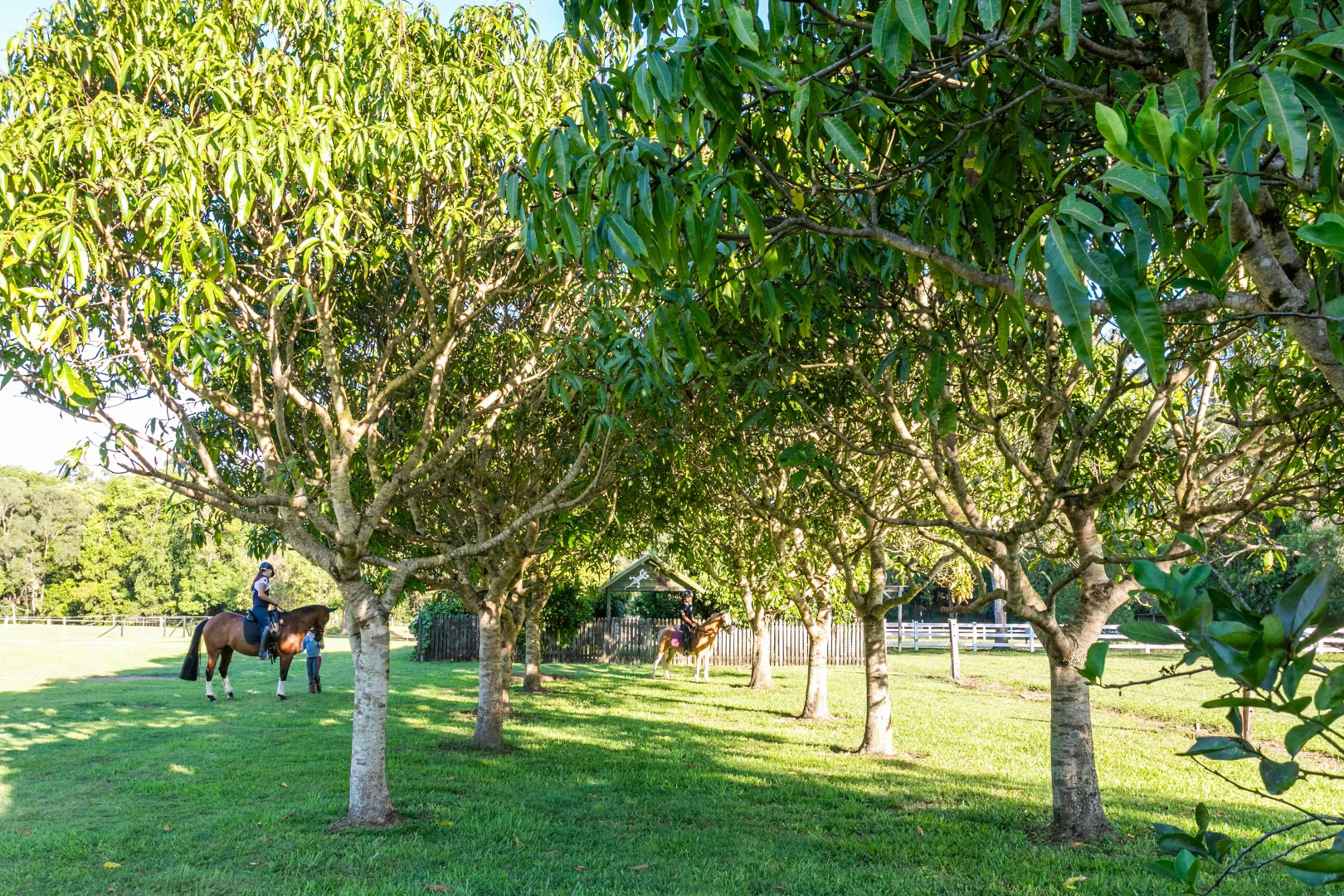 Additional image 27 of 35 Lawnville Road, Cooroy QLD 4563