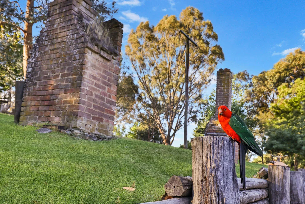 Additional image 27 of 11 Lees Lane, Hill End NSW 2850