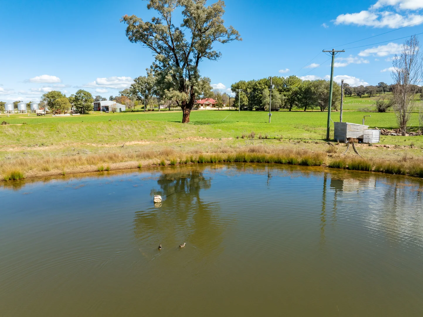Additional image 30 of 100 Grahams Lane, Grenfell NSW 2810