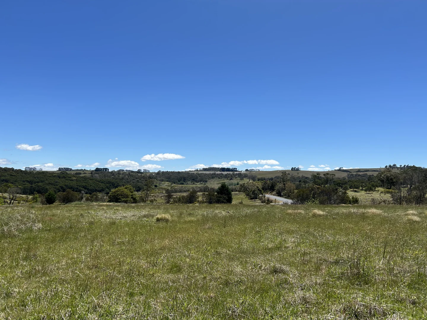 Additional image 7 of 1202 Majors Creek Road, Majors Creek NSW 2622