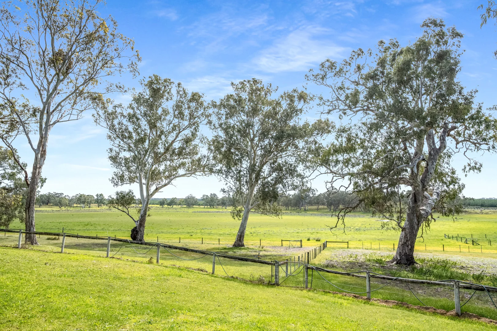 Additional image 29 of 1242 Old Comaum Rd, Coonawarra SA 5263