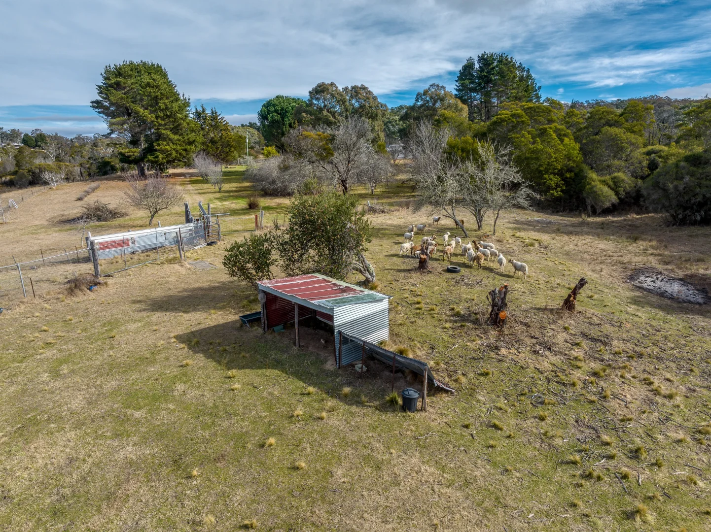 Additional image 6 of 745 Sandy Point Road, Lower Boro NSW 2580