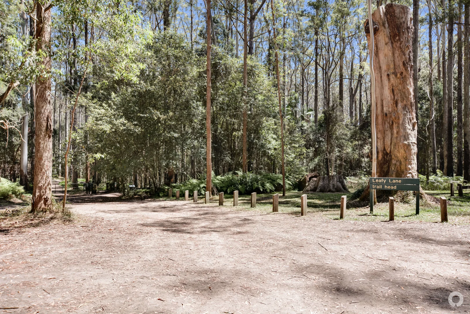 Additional image 13 of 111 Mapleton Forest Road, Mapleton QLD 4560