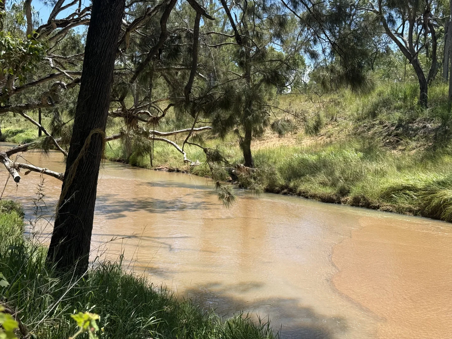 Additional image 18 of "Granite Springs" 22779 Kennedy Highway, Mount Garnet QLD 4872