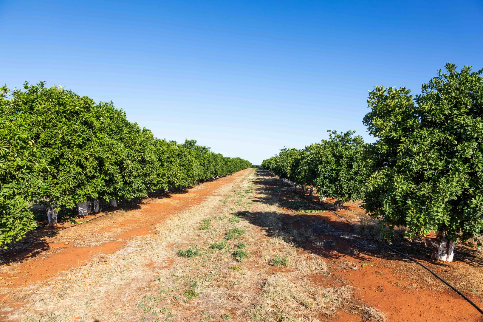 Additional image 12 of Nericon NSW 2680