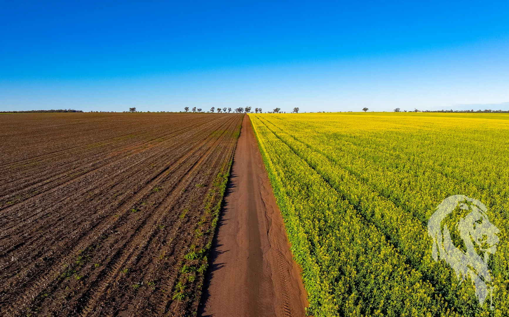 Additional image 7 of 13012 Newell Highway, Narrabri NSW 2390