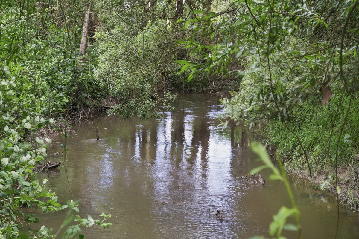 Additional image 20 of 2520 Carlisle Road, Carlisle River VIC 3239