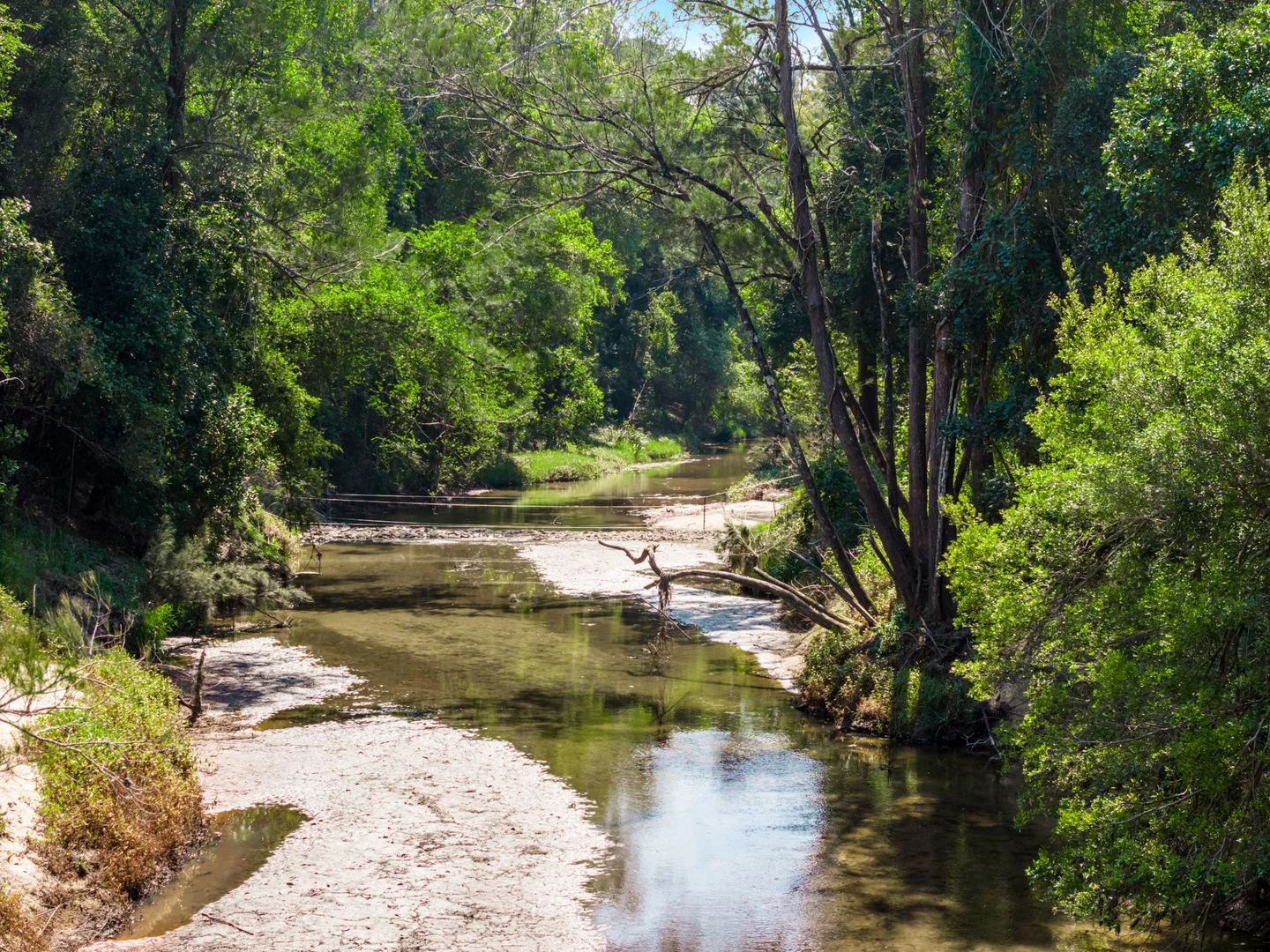 Additional image 37 of 160 Busbys Flat Road, Leeville NSW 2470