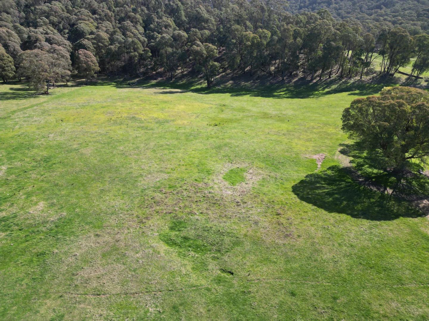 Additional image 12 of 40 Simpsons Creek Track, Nariel Valley VIC 3707