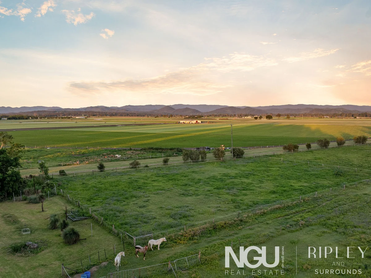 81 Linum Road, Wivenhoe Pocket QLD 4306