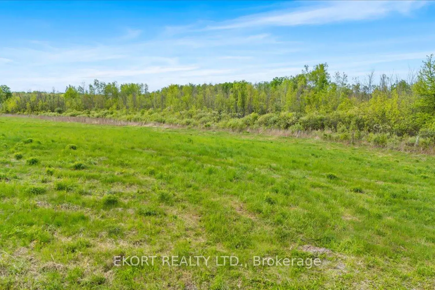 Additional image 4 of 309 Vanderwater Road