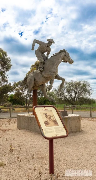 Additional image 27 of 57 Main Street, Marrabel SA 5413