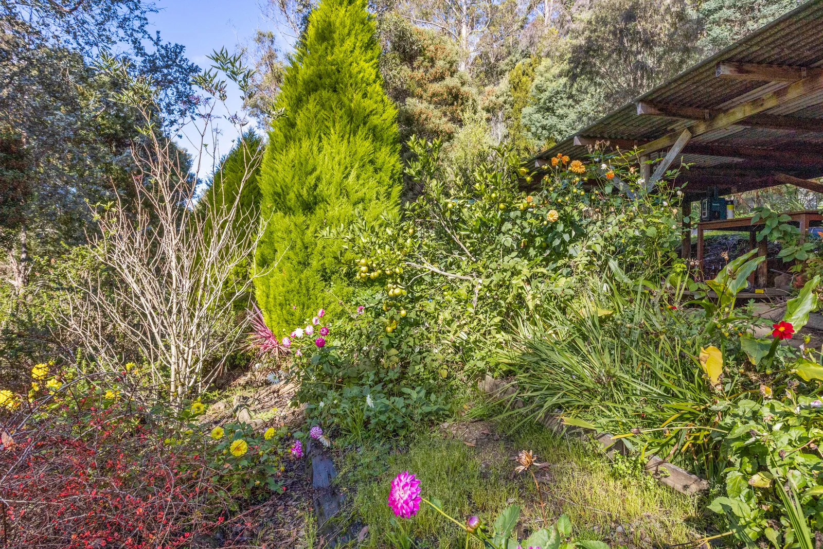 Additional image 10 of 1 Smiths Road, Nicholls Rivulet TAS 7112