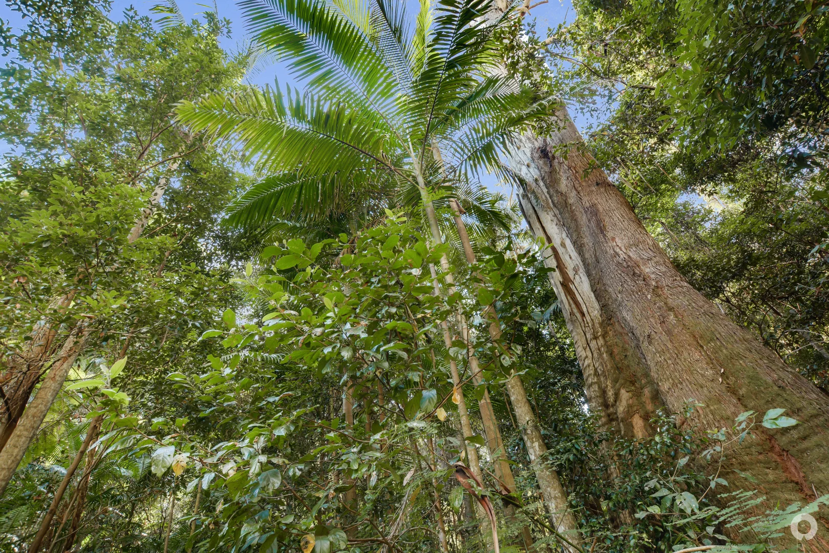 Additional image 17 of 111 Mapleton Forest Road, Mapleton QLD 4560