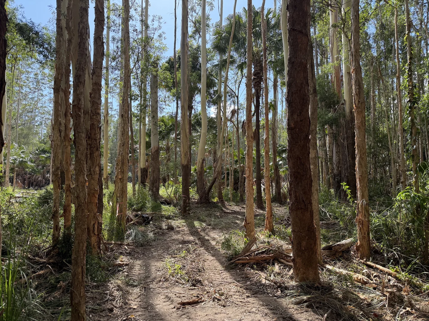 Additional image 5 of 6/750 Coomba Road, Whoota NSW 2428