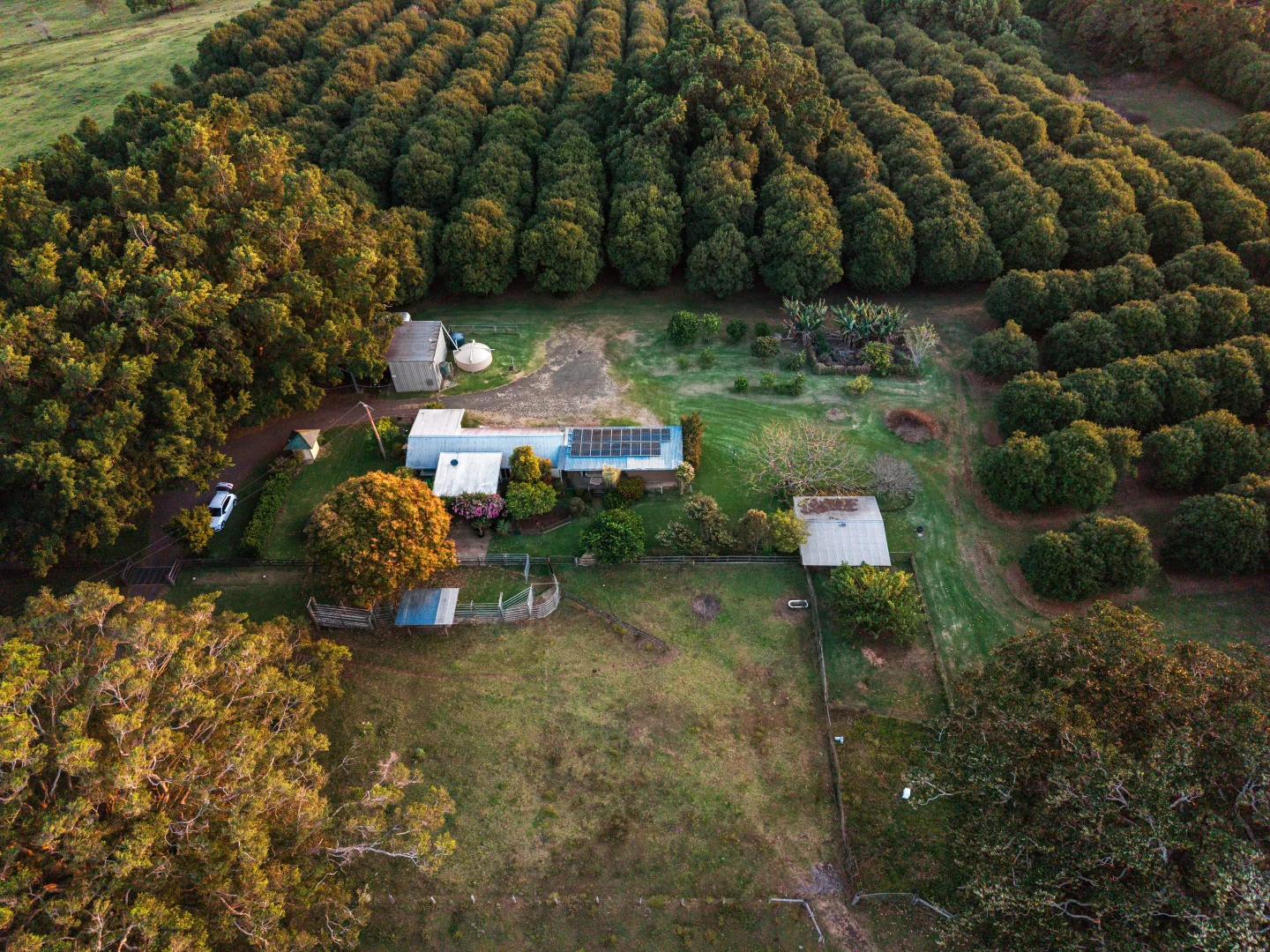 Additional image 4 of 241 Alcorn Road, Knockrow NSW 2479