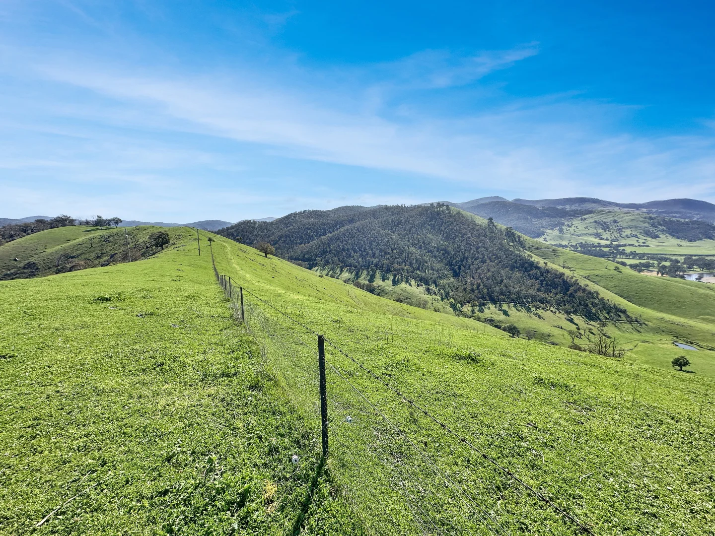 Additional image 4 of 5114 River Road, Jingellic NSW 2642