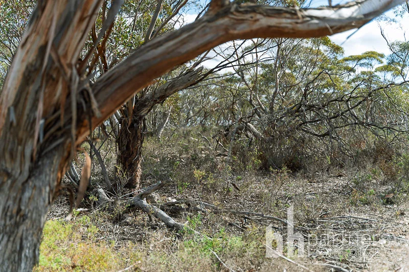 Additional image 25 of 89 Schroeder Road, Cambrai SA 5353