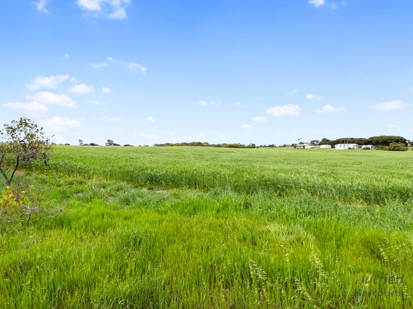 Additional image 5 of Lot 75 Marine Parade, Port Moorowie SA 5576